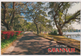 AK 197692 USA - Georgia - Savannah - Isle Of Hope - Savannah