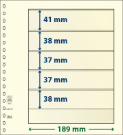 Paquet De 10 Feuilles Neutres Lindner-T 5 Bandes 38 Mm,37 Mm,37 Mm,38 Mm Et 41 Mm - For Stockbook