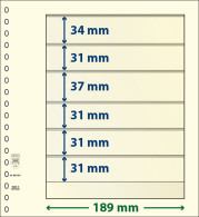 Paquet De 10 Feuilles Neutres Lindner-T 6 Bandes 31 Mm,31 Mm,31 Mm,37 Mm,31 Mm Et 34 Mm - A Bandes