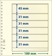 Paquet De 10 Feuilles Neutres Lindner-T 6 Bandes 31 Mm,31 Mm,31 Mm,31 Mm,31 Mm Et 45 Mm - A Bandes