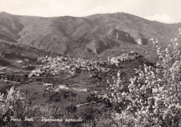 Cartolina San Piero Patti ( Messina ) Panorama Parziale - Bagheria