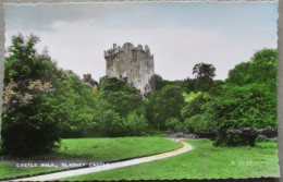 IRLAND UK UNITED KINGDOM CASTLE WALK BLARNEY AK KARTE CARD POSTKARTE POSTCARD ANSICHTSKARTE CARTOLINA CARTE POSTALE - Collections & Lots