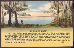 Singing River - Between Biloxi (Mississippi) And Mobile Alabama - Sonstige & Ohne Zuordnung