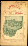 SZILVÁSSY JÁNOS: Borszék Irásban és Képekben 1896. Első Kiadás.1 T. (kétoldalas), 40 P., 1 T. (kihajtható) Szövegközti K - Alte Bücher