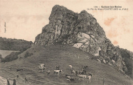 FRANCE - Salins Les Bains - Un Pic Du Mont Poupet - Carte Postale Ancienne - Otros & Sin Clasificación