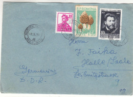 Roumanie - Lettre De 1959 - Oblit MorouniSanatoriu - Champignons - - Covers & Documents