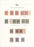 Indore: 1904/1920, Definitives "Maharaja Tukoji Rao Holkar III", Specialised Col - Other & Unclassified