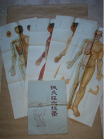 Pochette De 4 Planches Anatomiques Points Méridiens Acupuncture Corps Humain Médecine Chinoise - Chine (1963) - Matériel Et Accessoires