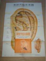 Pochette En Provenance De Kowloon Chine Planche Points Acupuncture Oreille East Wind Medical Instruments - Material Und Zubehör