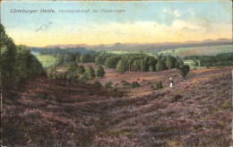 41325270 Lueneburger Heide Heidelandschaft Bei Hoesseringen Lueneburger Heide - Walsrode