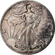États-Unis, 1 Dollar, 1 Oz, Silver Eagle, 1989, Philadelphie, Bullion, Argent - Zilver