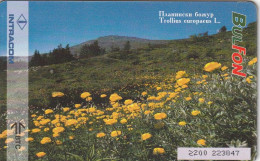 PHONE CARD BULGARIA  (E4.21.7 - Bulgaria