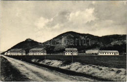 ** T2/T3 Detrekőváralja, Plossenstein, Plavecké Podhradie; Látkép, Várrom. A. Wiesner Kiadása / General View, Castle Rui - Unclassified