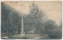 T4 1909 Lőcsefüred, Lőcse-fürdő, Levocské Kúpele (Lőcse, Levoca); Park Részlet, Szökőkút. Braun Fülöp Kiadása / Park, Sp - Unclassified