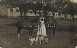 * T3 1914 Sankt Pölten, Lady With Horses And Dogs. Photo (EB) - Zonder Classificatie