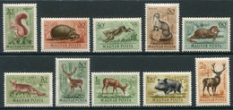 HUNGARY 1953 Forest Mammals MNH / **  Michel 1285-94 - Neufs