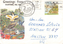 AUSTRALIA - MAIL DAINTREE - MELTON 1987 / 4598 - Cartas & Documentos