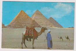 AK 198206  EGYPT - Giza - Kheops, Kephren And Mycerinos Pyramids - Piramiden