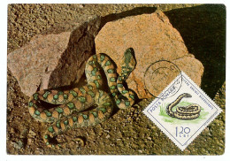 MAX 39 - 1108 SNAKE, Romania - Maxicard - 1968 - Serpenti