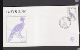 BIRDS - SURINAM -  1979 -   5 GLD AIR / BLACK CORRSOW  ON  ILLUSTRATED FDC - Grues Et Gruiformes