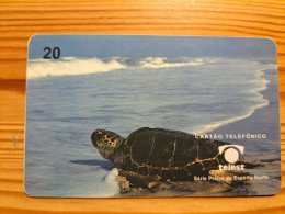 Phonecard Brazil, Telest - Turtle - Brésil