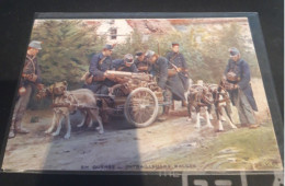 Carte Postale     Belges   VOITURE CHIENS  Mitrailleuses - Old Professions