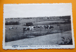 MACQUENOISE -  Panorama, Pris De La Route Du Four Mathot - Momignies