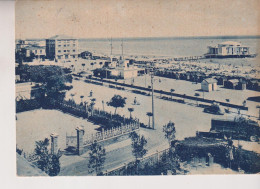 SENIGALLIA  ANCONA  LUNGOMARE E SPIAGGIA  VG  1951 - Senigallia