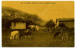 CPA 9 X 14  Isère TULLINS  Hâmeau De Leslinard  -  Charmant Paysage   Vaches Et Veaux - Tullins