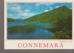 C.P. -  PHOTO - CONNEMARA - KYLEMORE LAKE - PETER O'TOOLE - 2/688 - JOHN HINDE - Galway