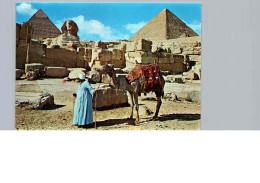 Gizeh, Le Grand Sphinx Et La Pyramide De Keops - Gizeh
