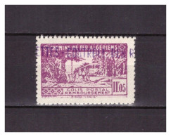 ALGERIE N° CP  93   . 11 F 05  . NEUF  *   . SUPERBE . - Parcel Post