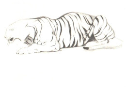 V.Vatagin:Tiger, 1978 - Tigres