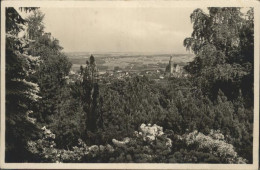 41298137 Kamenz Sachsen Vom Hutberg Azaleenanlage Kamenz - Kamenz