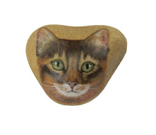 SOMALI CAT Hand Painted On A Beach Rock Paperweight - Paper-weights