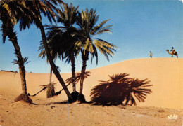 CPSM REP. ISALAMIQUE DE MAURITANIE - 5972 - CHAMELIERS DANS LES DUNES - VOIR SCANS RESTO-VERSO - Mauritania