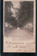 Cpa 11 Sigean Promenade Des Platanes - Sigean