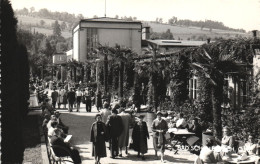 BAD SCHALLERBACH, ARCHITECTURE, PARK, TERRACE, AUSTRIA, POSTCARD - Bad Schallerbach