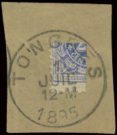TX 2 20c. Ultramarijn, 1/4 Zegel Afgestempeld Tongres T0, 1 Juli 1895 Op Fragment, Zm - Other & Unclassified