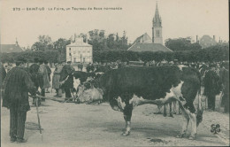 50 SAINT LO - LA FOIRE UN TAUREAU DE RACE NORMANDE - Saint Lo