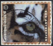 Belgique 2013 Oblitéré Used Animal Tigre Panthera Tigris Y&T BE 4326 SU - Gebraucht