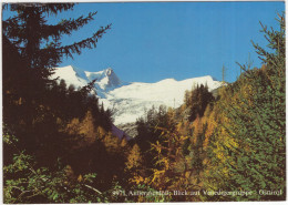 Außergschlöß, Blick Auf Venedigergruppe - Osttirol - (Tirol, Österreich/Austria) - Matrei In Osttirol