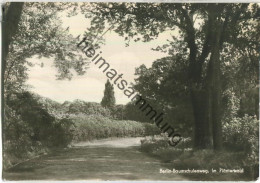 Berlin - Baumschulenweg - Plänterwald - Foto-Ansichtskarte - Verlag Kurt Mader Berlin-Karlshorst - Treptow