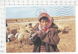 Sheepherder With His Pipe In Jordan Desert - Jordanië