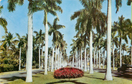 United States FL Palm Beach Royal Palm Way - Palm Beach