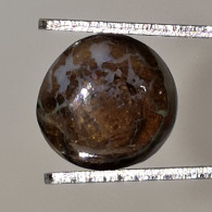 Opale Boulder Australienne: 2.60 Carats | Cabochon Ovale | Marron-Violet-Bleu-Vert - Opale