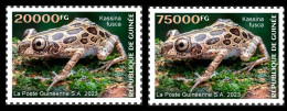 GUINEA GUINEE 2023 - SET 2V - AMPHIBIANS - FROGS FROG GRENOUILLES GRENOUILLE - MNH - Ranas