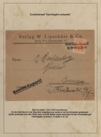 Deutsches Reich - Germania: 1900-1920 (ca), Germania-Ausgaben, Spezialsammlung N - Verzamelingen