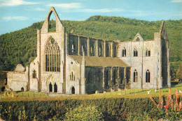 United Kingdom Wales Monmouthshire Tintern Abbey - Monmouthshire