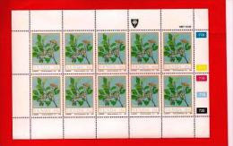 VENDA, 1987, MNH Stamp(s) In Full Sheets, Food From The Veld, Nr(s) 163-166, Scan S632 - Venda